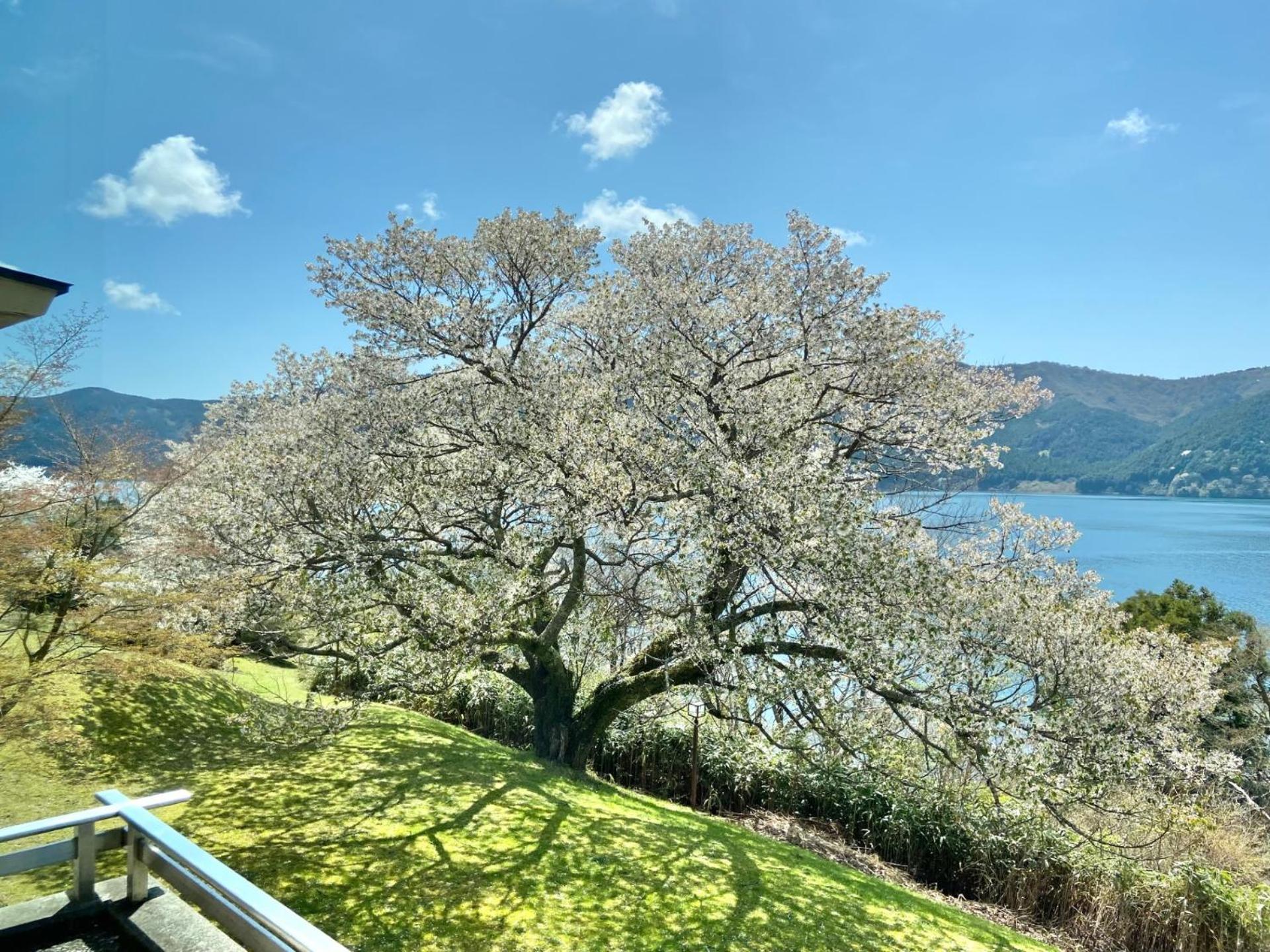 Ryuguden Hotell Hakone Eksteriør bilde